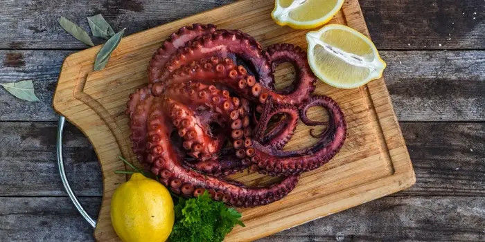 COOKED OCTOPUS